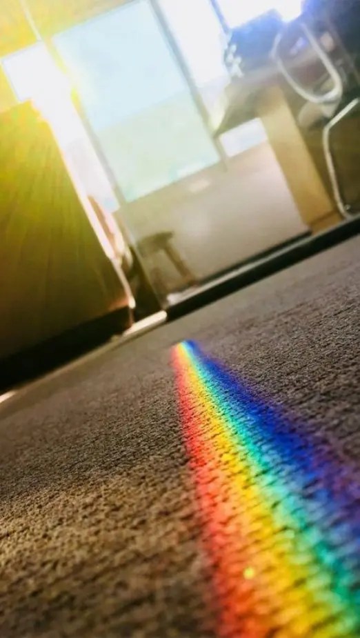 A rainbow is painted on the floor of a room.
