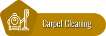 A picture of the carpet cleaning logo.